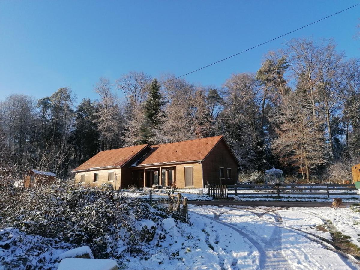 Vosges Chambres D'Hotes Jeanmenil 외부 사진